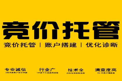 SEM优化实战：精准定位，提升广告转化