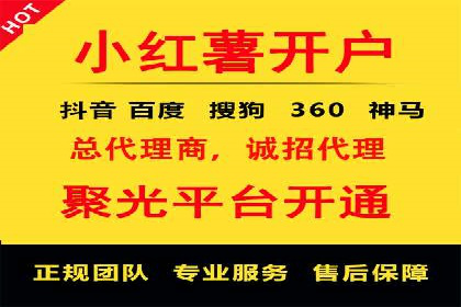 竞价广告策略案例分析